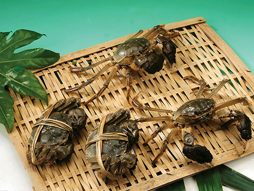大闸蟹