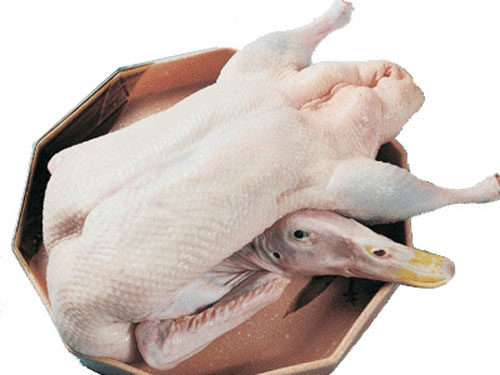 鸭肉