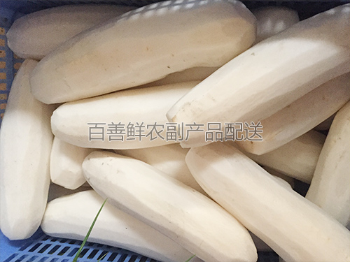 白萝卜