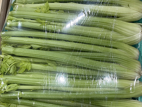 西芹