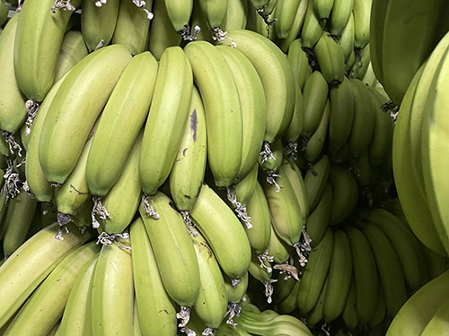香蕉