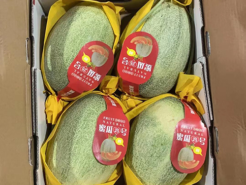 哈密瓜