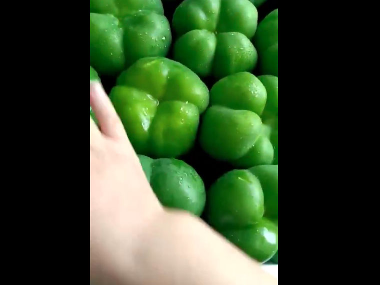 精选菜椒