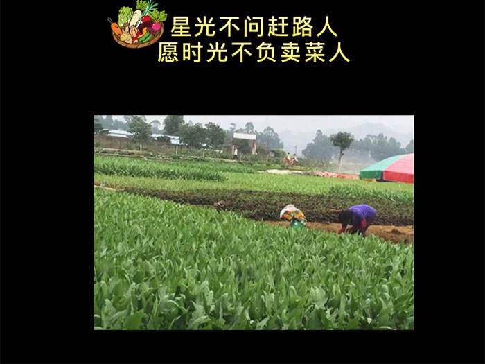 种植基地
