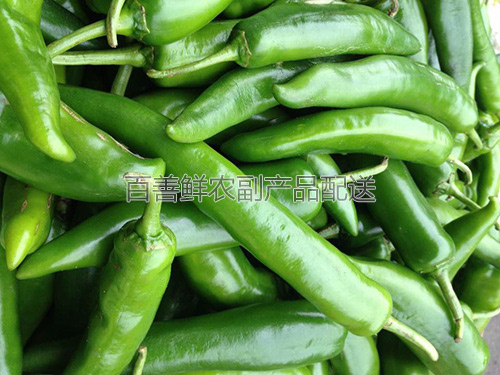 蔬菜批发公司带你了解青椒背后的价值 蔬菜批发公司带你了解青椒背后的价值
