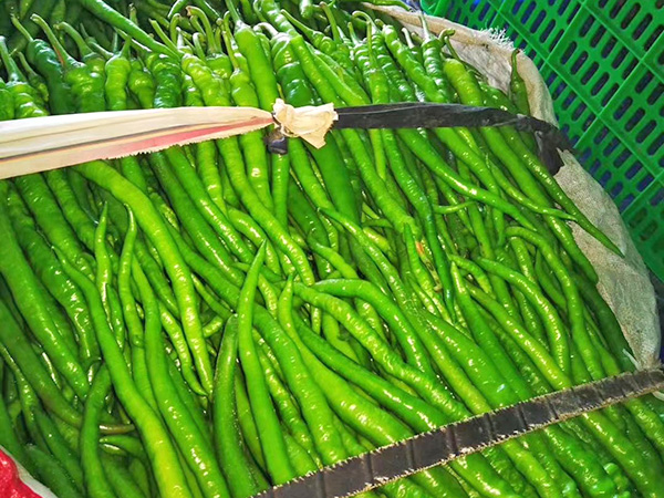 蔬菜配送的基本介绍与进行蔬菜配送有什么意义？
